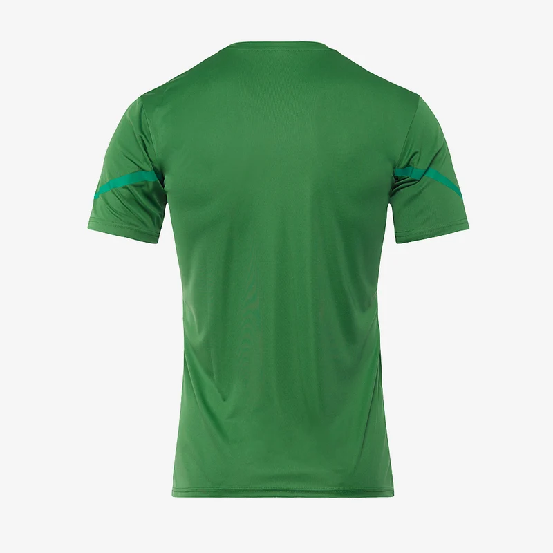 Puma teamFLASH SS Shirt