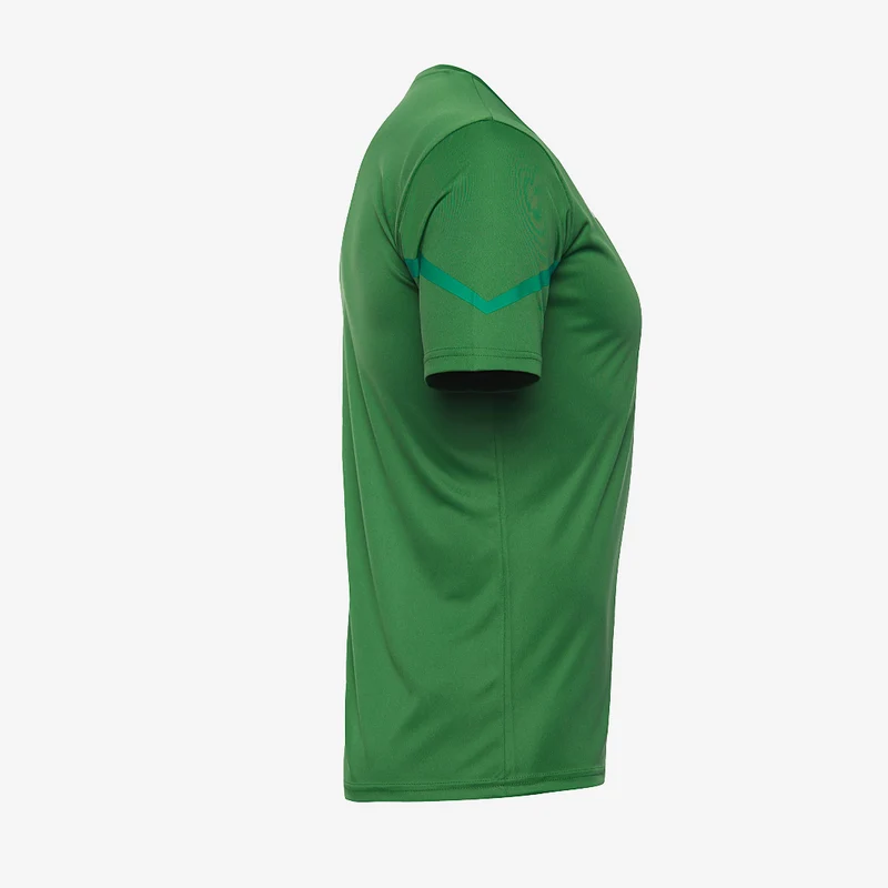 Puma teamFLASH SS Shirt