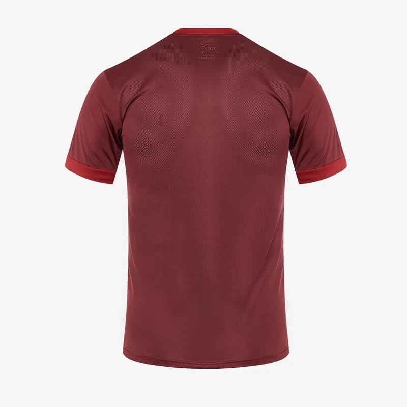 Maillot PUMA Junior Goal 23 SS