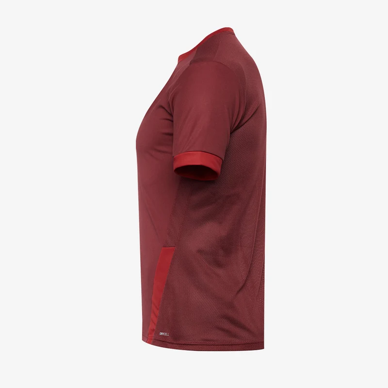 Maillot PUMA Junior Goal 23 SS