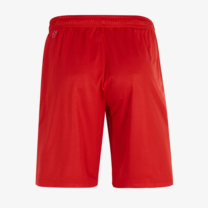 Short PUMA Junior Liga Core