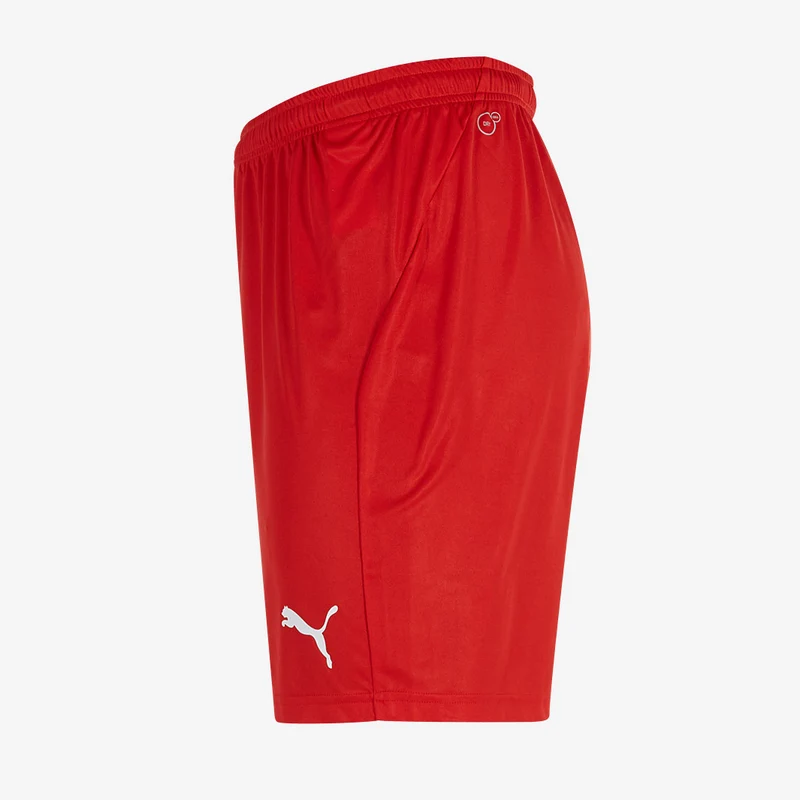 Short PUMA Junior Liga Core