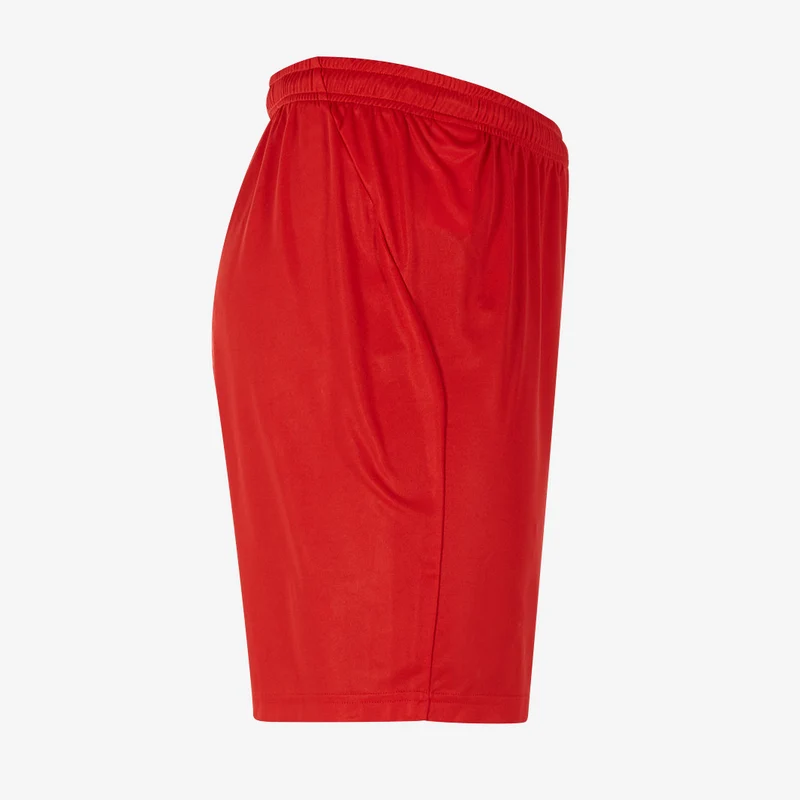 Short PUMA Junior Liga Core