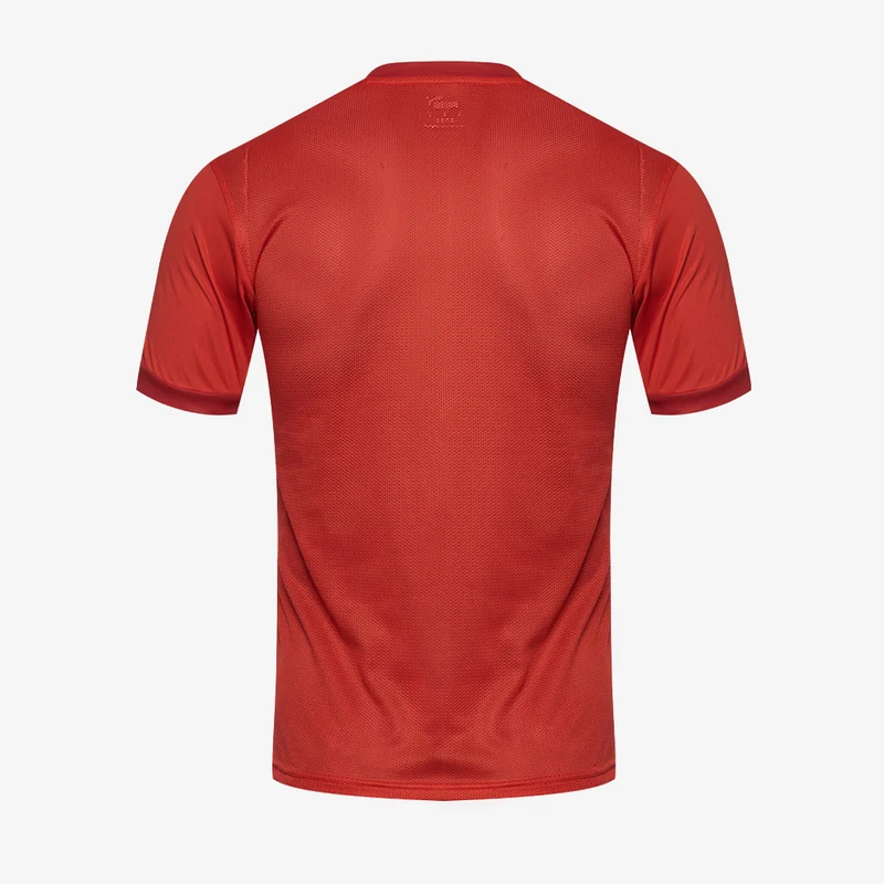 Maillot PUMA Junior Goal 23 SS