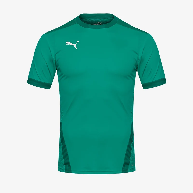 Maillot PUMA Junior Goal 23 SS