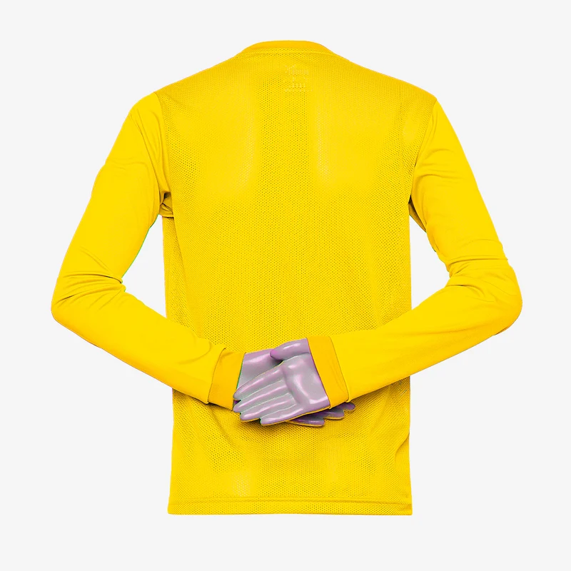 Maillot PUMA Junior Goal 23 LS