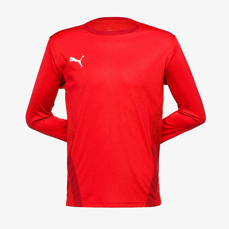 Maillot PUMA Junior Goal 23 LS