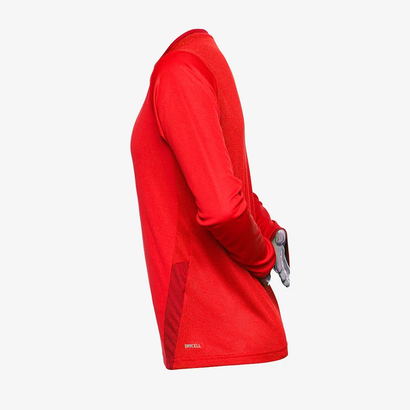 Maillot PUMA Junior Goal 23 LS