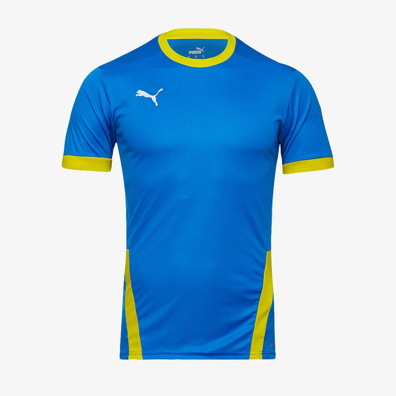 Maillot PUMA Junior Goal 23 SS