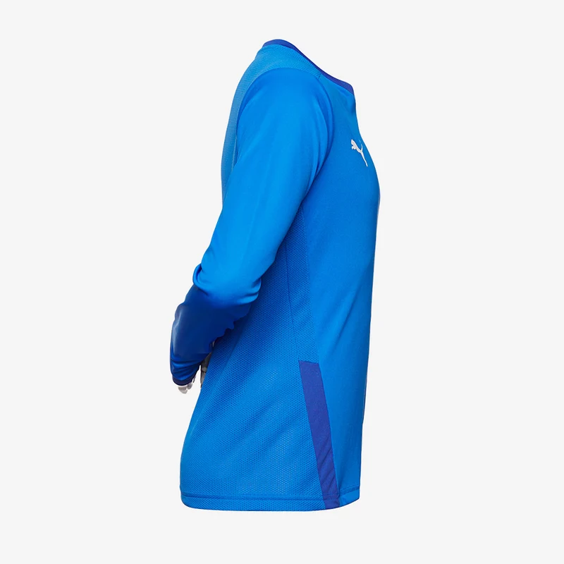 Maillot PUMA Junior Goal 23 LS