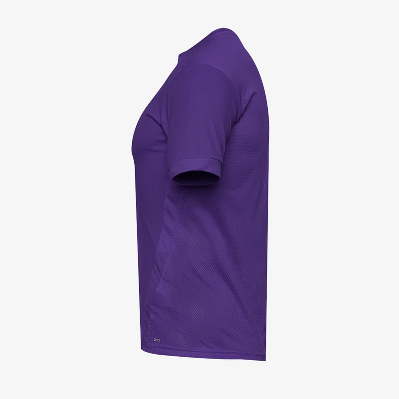 Maillot PUMA Junior Goal 23 SS