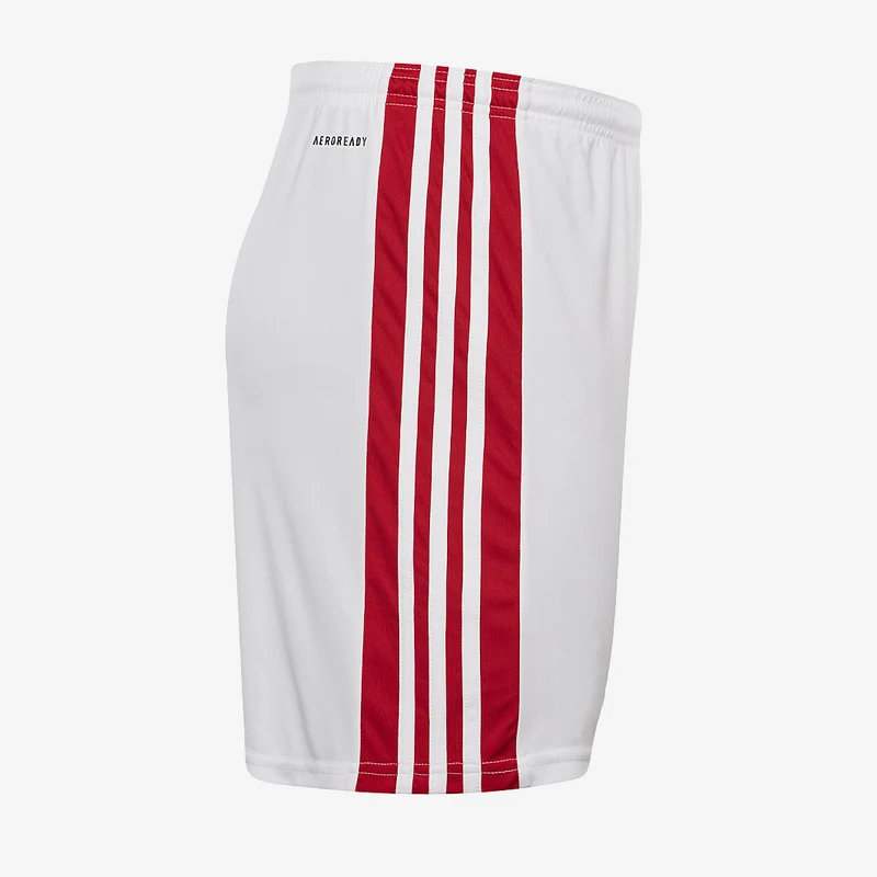 adidas Squadra 21 Shorts