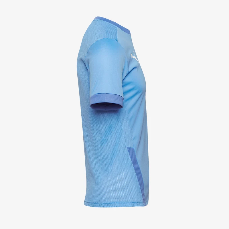 Puma teamGOAL 23 SS Shirt