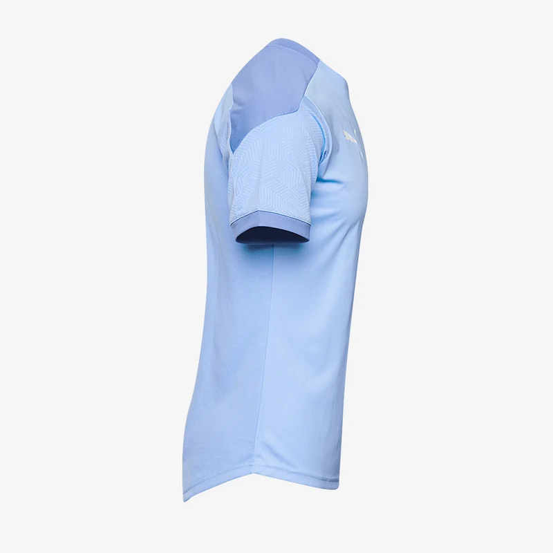 Puma Final 21 Training Jersey