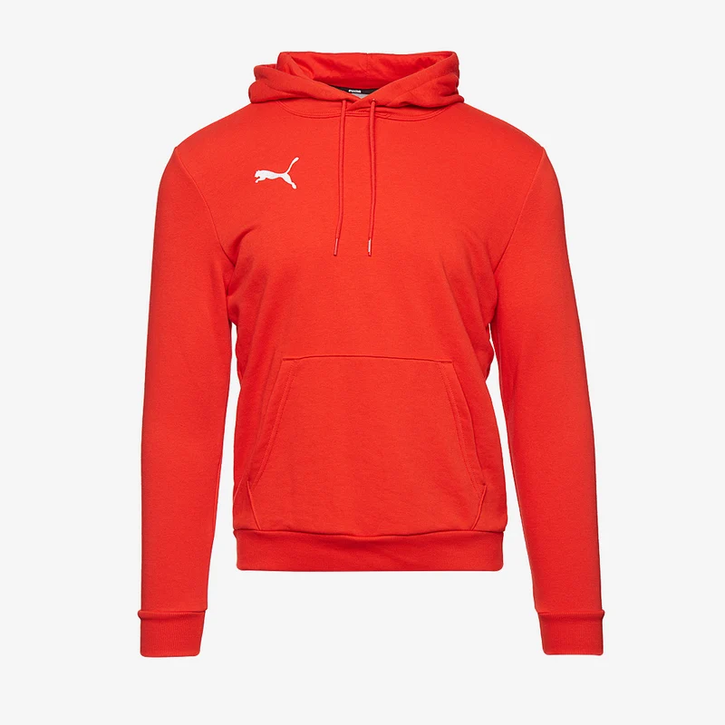 Puma Goal 23 Causals Hoody
