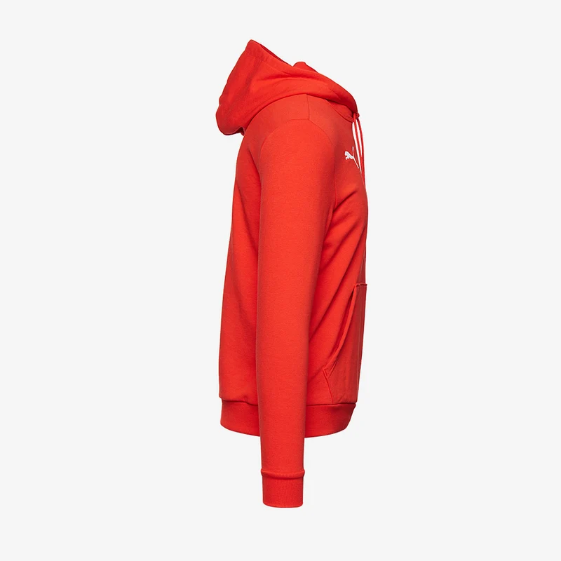 Puma Goal 23 Causals Hoody