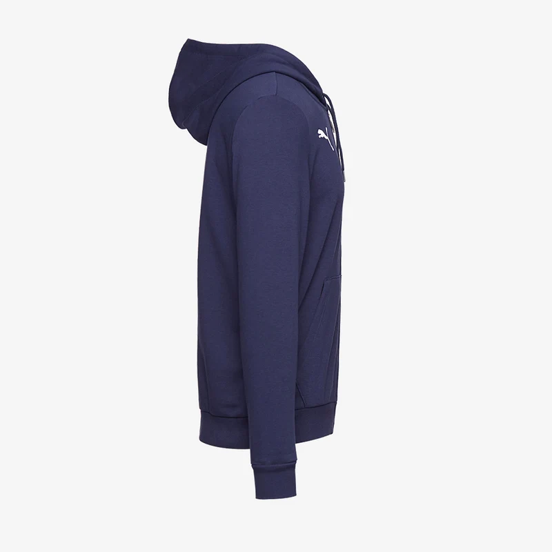 Veste à capuche Puma Goal 23 Casuals