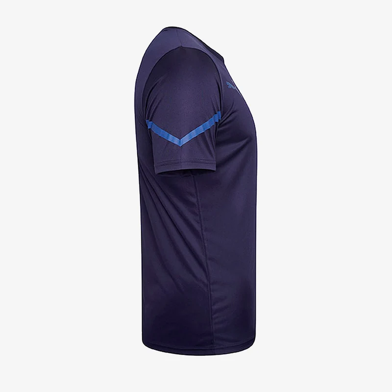 Puma teamFLASH SS Shirt