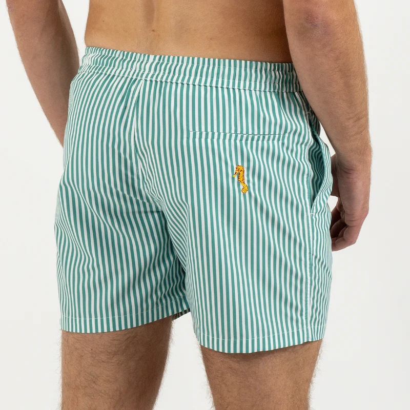 Le pack de 2 shorts de bain Papa / Fils assortis - Le Poséidon rayé